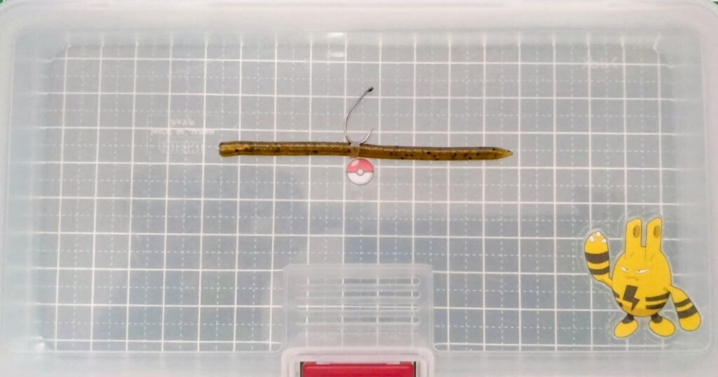 レインズスワンプ“マイクロ”②