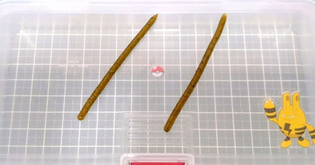 レインズスワンプ“マイクロ”①