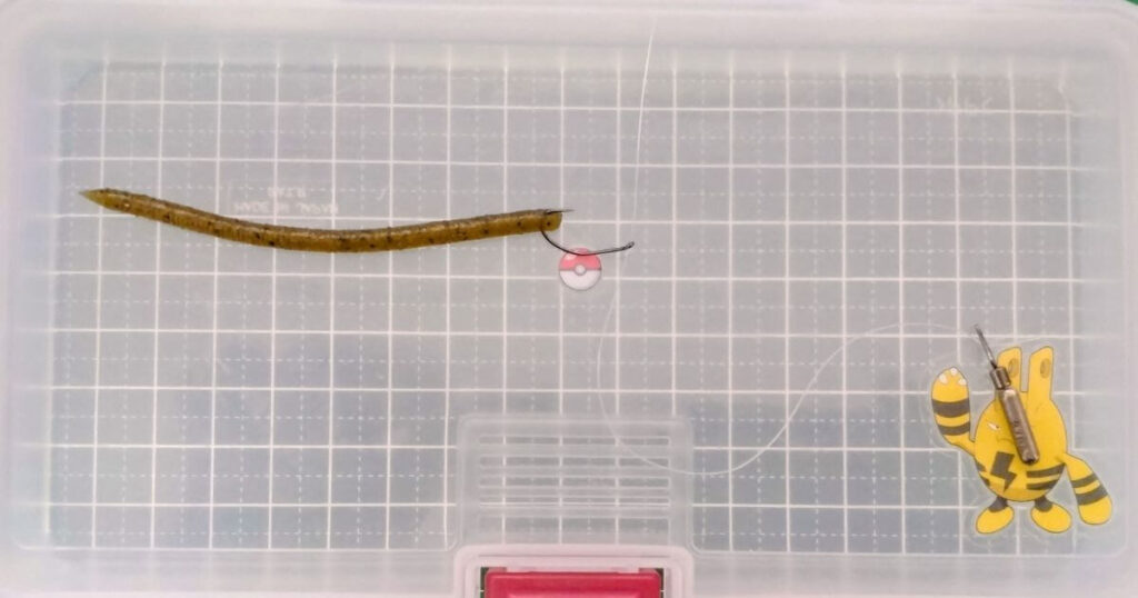 レインズスワンプ“マイクロ”⑤