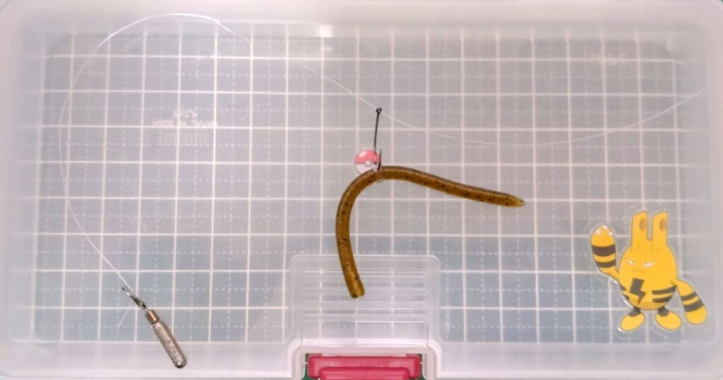 レインズスワンプ“マイクロ”⑥