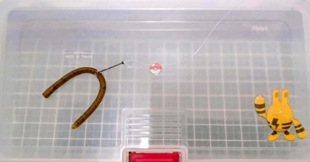 レインズスワンプ“マイクロ”③