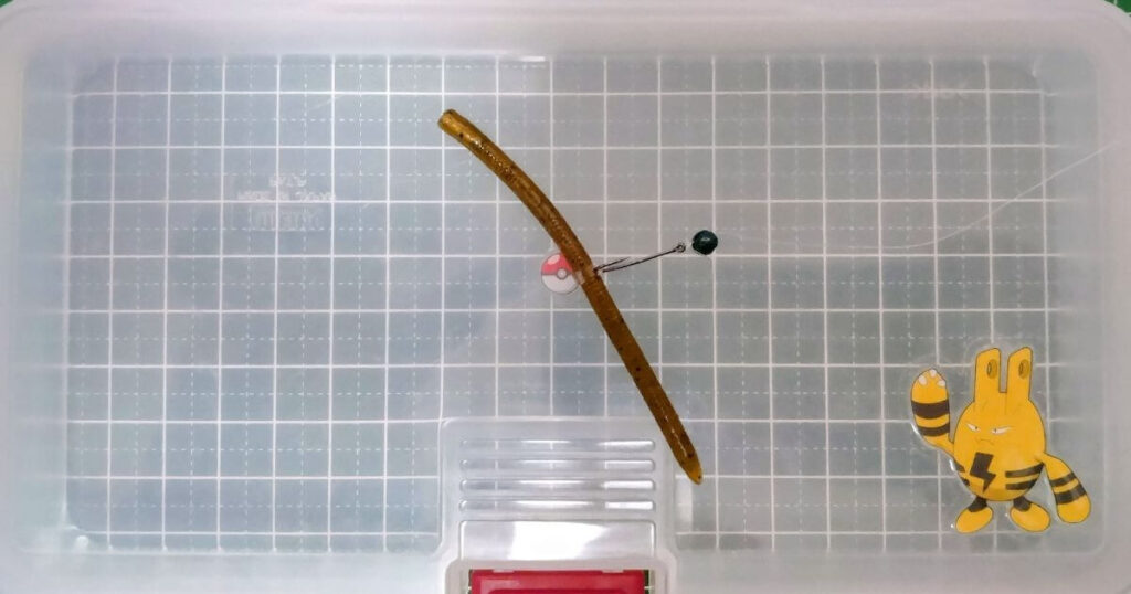 レインズスワンプ“マイクロ”④