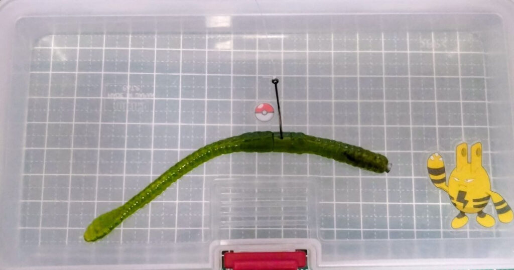 スライダーワーム④