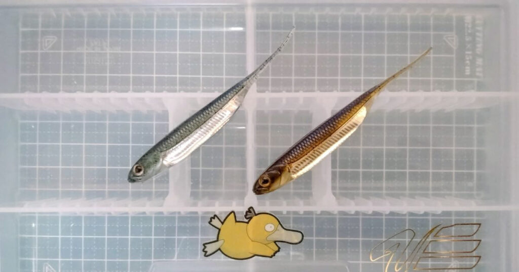 フラッシュJ“3”①