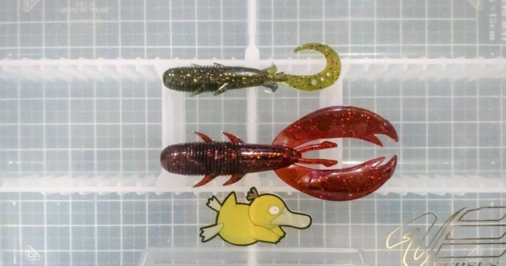 キジハタホッグ“3”②