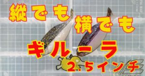 ギルーラ“2.5”(タイトル)
