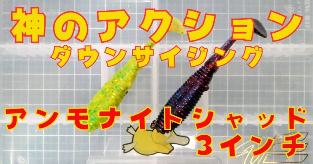 アンモナイトシャッド“3”(タイトル)