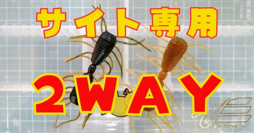 2WAY(タイトル)