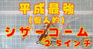 シザーコーム“2.5”(タイトル)
