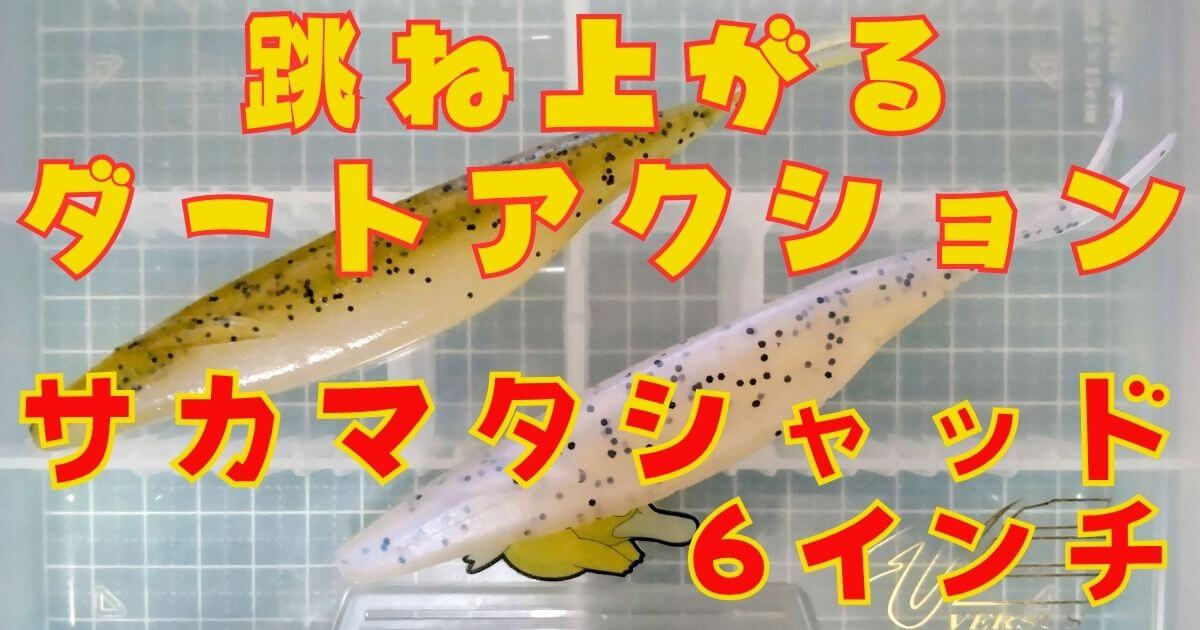 サカマタシャッド“6”(タイトル)-②